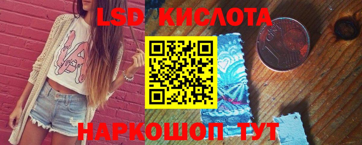 Лсд 25 экстази  ЛСД экстази кислота  ЛСД экстази кислота  Вход с VPN  Новодвинск 
