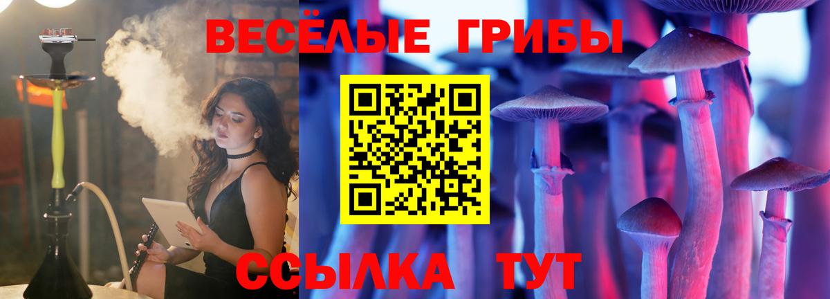 Псилоцибиновые грибы мухоморы  Вход с VPN  продажа наркотиков  Новодвинск 